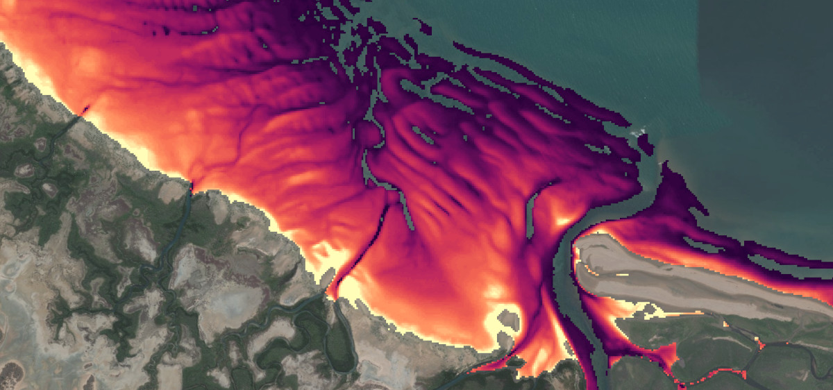 DEA Intertidal Exposure layer