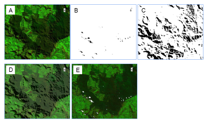 NBAR, terrain shadow, high incident angle, NBAR+ mask overlay, NBART