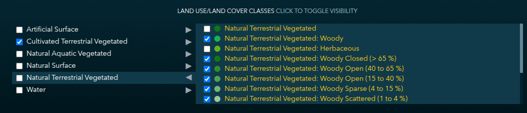 Land Cover Classes section for Level 4